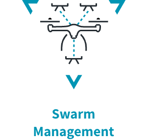 Swarm Management